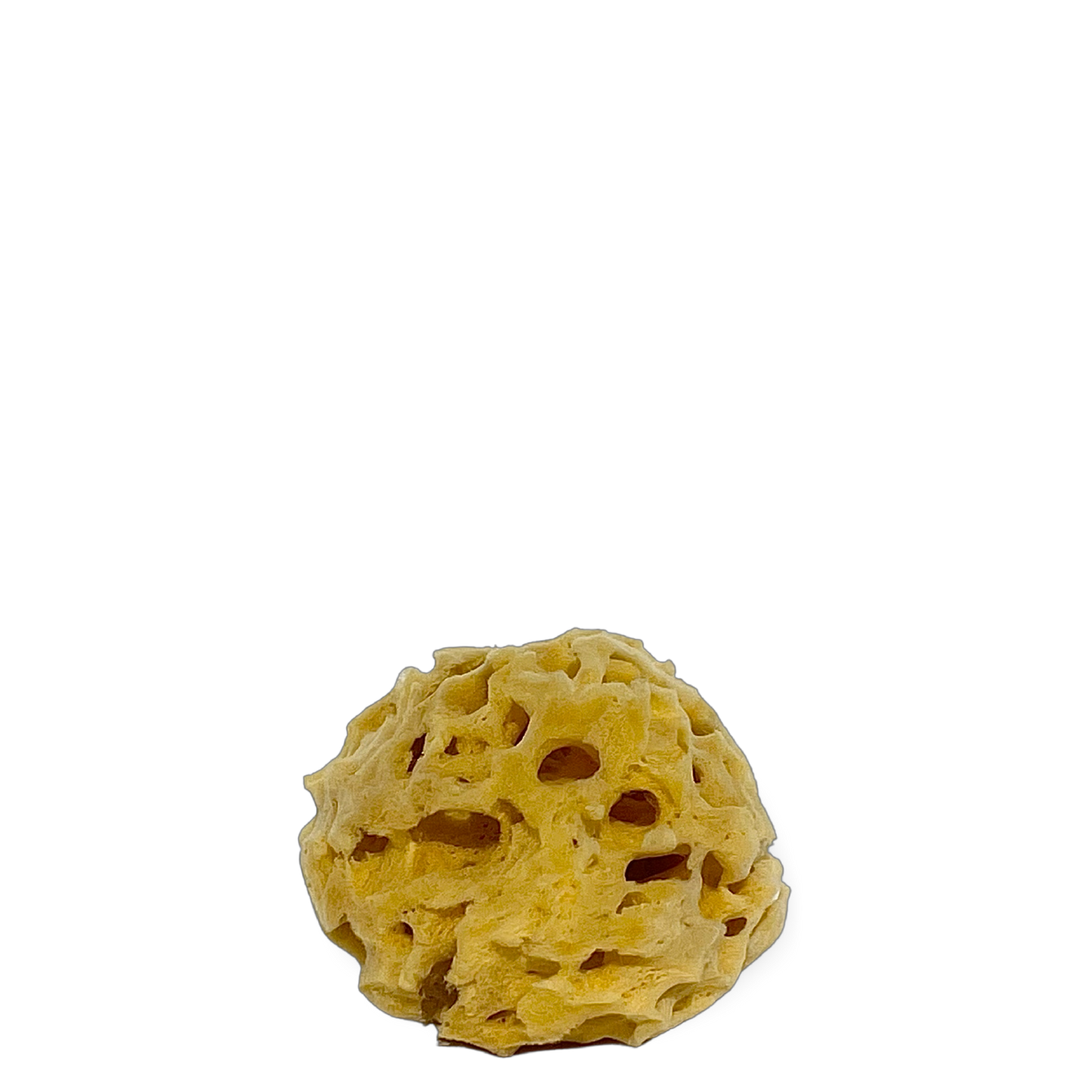 Cycladic | Sea Sponges