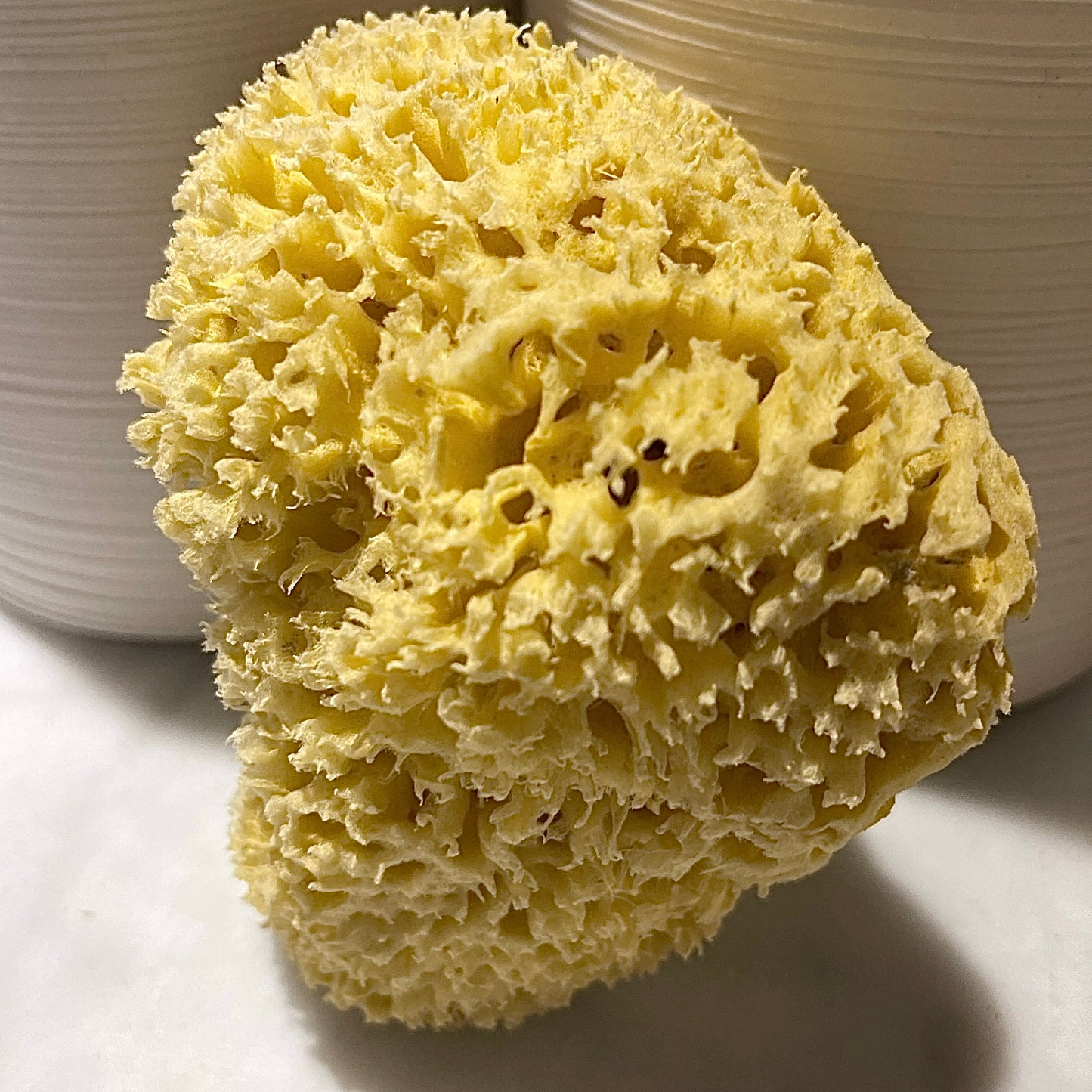 Cycladic | Sea Sponges