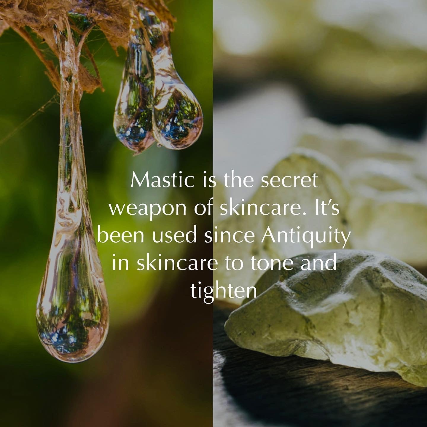 Ancient | Probiotic Greek Yogurt Face Mask | 50ml