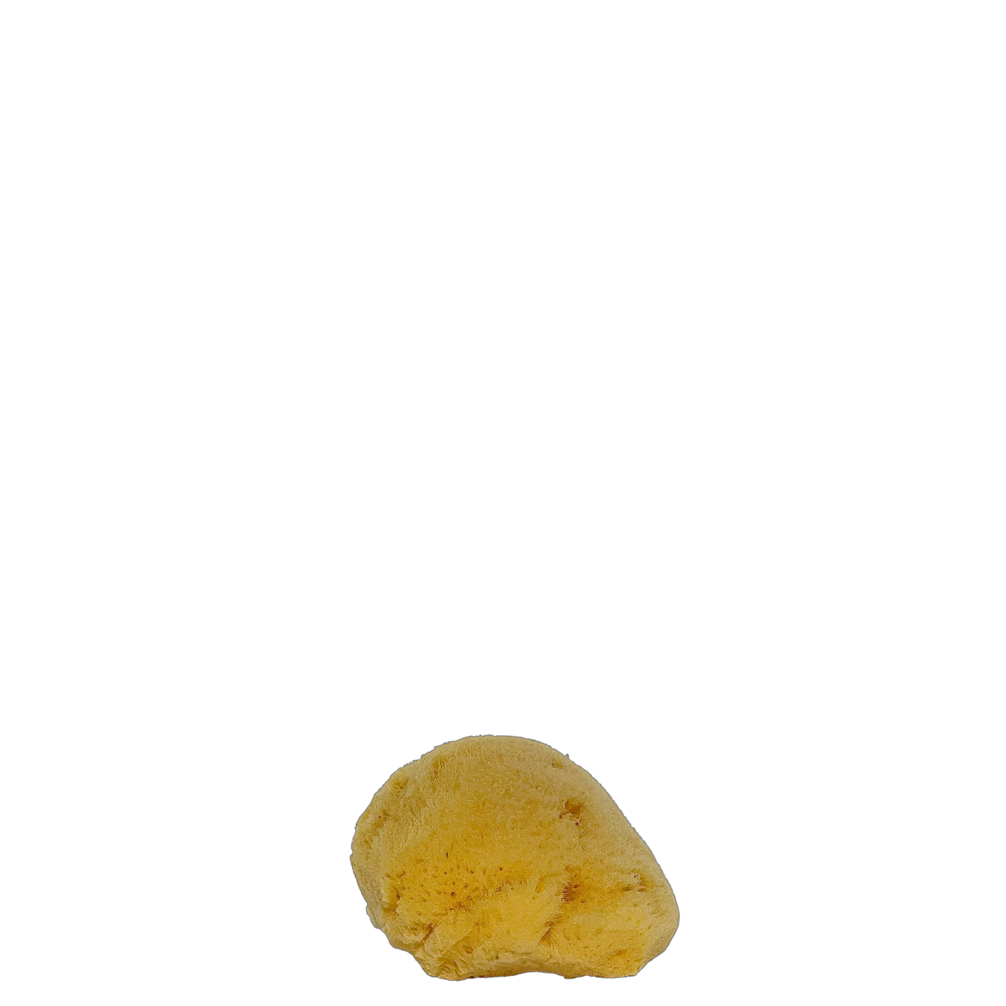 Cycladic | Sea Sponges